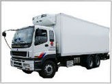   isuzu 75p